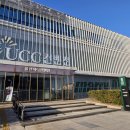 그린나래 | 울산시티컨벤션 그린나래홀 후기! 특별한 연출이 있는 웨딩홀