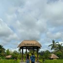 상술농장 이미지