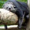 원커피 won coffee 이미지