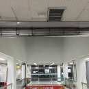 돌고래시장 이미지