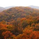 울산하늘공원 이미지