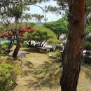 대지부속 이미지