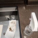 미도장 | 대구상판코팅 중구 대봉동 대봉더샵 싱크대 인조대리석 주방상판 uv코팅 후기