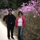 보릿골로 이미지