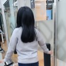 웰리스 클리닉 이미지