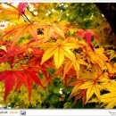 지성 행정사 사무소 이미지