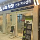 닥터모락 목동점