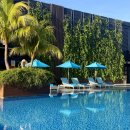 아시아 다국적 노래클럽 | 코타키나발루 힐튼호텔 3박 후기 ㅣ 조식 수영장 피트니스 더클럽까지