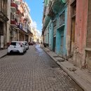 다운타운 이미지