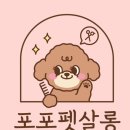 포포펫살롱 이미지