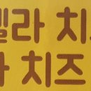 체다 이미지