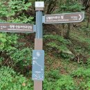 산음자연휴양림 이미지