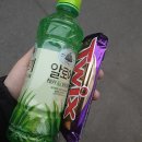 경대간호학원 | 간호학과 4학년이 알려주는 학년별 꿀팁 +후기