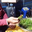 성수월마을 이미지