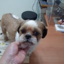 홈플러스 앞 이미지