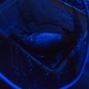 Love낚시카페 이미지