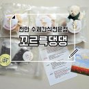 꼬르륵댕댕 | 천안 강아지 건강한 수제간식 맛집 꼬르륵댕댕 강아지케이크 전문점