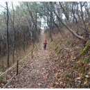 삽시도둘레길 이미지