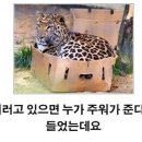 키워주세요