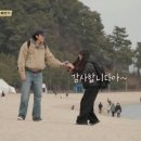 고마워꽃 TV리포트