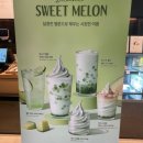 [폴바셋] 여름 시즌 메뉴 스윗메론 _ 머스크 멜론 아이스크림 라떼 후기
