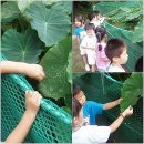 선학 어린이집 이미지