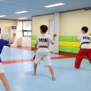 다대태권도 | 부산태권도_MTA태권도 부산 다대점