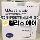 웰리스 동물병원 | 웰리스 에어 공기청정 제균기 내돈내산 실사용후기