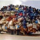 멍텅구리 이미지