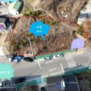 선산대로 이미지