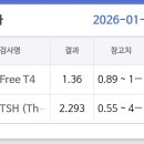 아름약국 | [임신일기 Ep.1] 이제는 분만 병원 10주차 아름제일병원 초음파 후기 / 갑상선 수치 검사