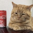 팀플러스 이미지