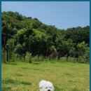 엘영어교습소 - 고양시 일산서구 가좌3로 47 | 세종솔빛초영어 프롬엘영어, 신뢰할 수 있는 영어 교육의 메카!