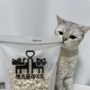 펫츠플레이트 | 북어트릿 대용량 : 펫츠플레이트 급여 후기 (내돈내산)