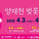 명품 벚꽃 길 이미지