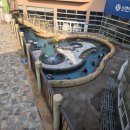 오션플레이 이미지