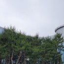 하림한의원 이미지