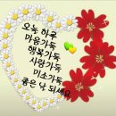 꽃못 이미지