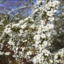 (주)꽃랜드 이미지