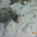 산해농장 이미지