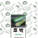 실버인지미술 이미지