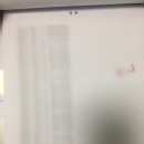 신스공인행정사사무소 이미지