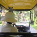 VIP | 푸꾸옥사파리 빈펄사파리 프리미엄VIP후기 (꿀팁 정보)