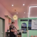 개미통운