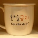 채움과비움 Daum카페