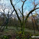 오동동182 이미지