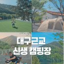 대구근교 신생캠핑장 추천 창녕 초록여울캠핑장 솔직후기
