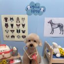 그루밍젤리 이미지