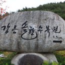 솔향수목원 (산경산악) 이미지