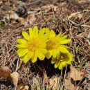 진무검도관 이미지